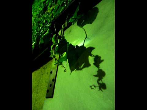 Nell（넬）  어떻게 생각해