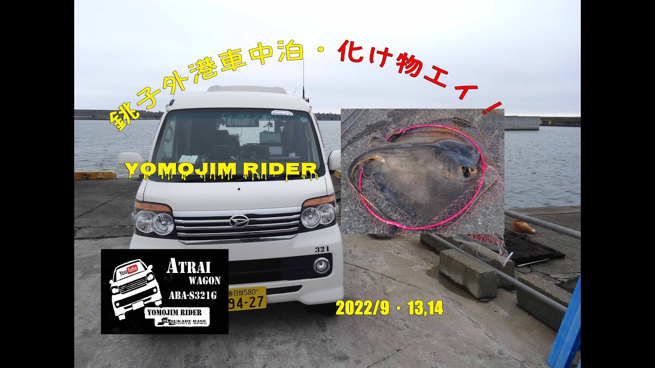 銚子漁港/ビックリ～！お化けエイがかかった～