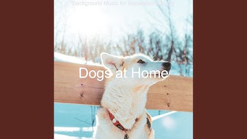 Scintillating Backdrops for Pups