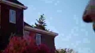 Download Lagu Vrijheidsdefile Wageningen 2008 (2) MP3