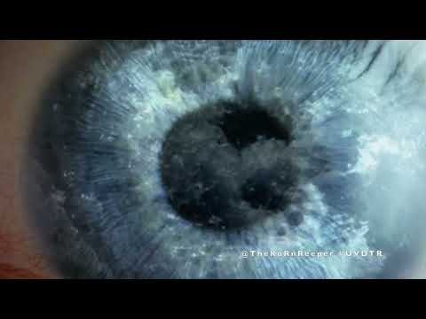 KoRn - Penance To Sorrow (fan video)
