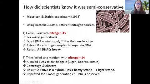 Chapter 6.1c - The Most Beautiful Experiment in Biology | Cambridge A-Level 9700 Biology