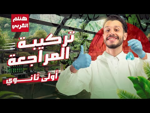 تفاصيل أقوى مراجعة لغة عربية للصف الأول الثانوي أون لاين وسنتر 2025