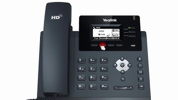 T40P IP Phone - Hold and Mute