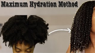 Maximum Hydration Method | Amazing Definition on type 4 hair | Wash day routine
