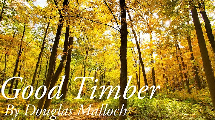 Good Timber by Douglas Malloch