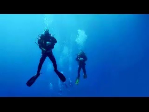 True Horrifying Scuba Diving Story!! - YouTube