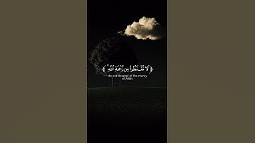 أرح سمعك 🎧 #quran #المصحف #تلاوه #تلاوات #yasseraldossary #راحة_نفسية #محمد_اللحيدان