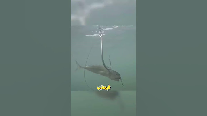 ابتكار ذكي لصيد الأسماك بسهولة 🤔! #shorts