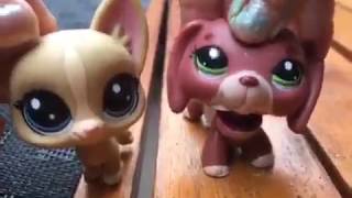 Special Annoncements Lpsworld