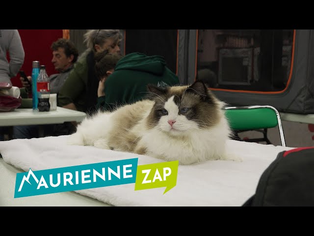 Maurienne Zap #683