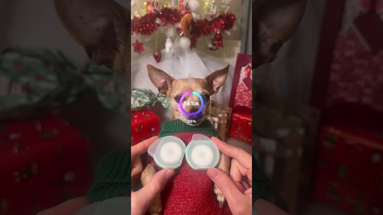 Dog makes the Manga trend on Tiktok even better! 