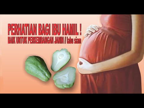 Cara Memasak Labu Siam Untuk Ibu Hamil