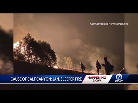 Calf Canyon Fire cause released by investigators