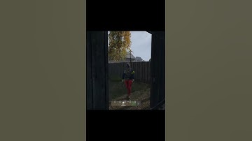 Understanding DayZ in under 30 seconds