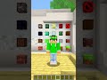 INDOVINA IL BLOCCO su MINECRAFT!