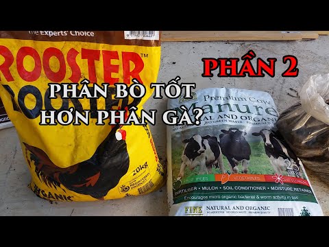 Video: Chúng Tôi Tự Chuẩn Bị Phân Bón. Phần 2