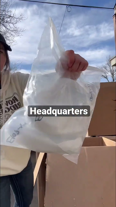 Taxidermy orders from Matuska and Headquarters 🦌