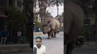 #wildlife #animalworld #animalworld #elephant #elephant #animals #funny #haveitoldyoulatelythatilo