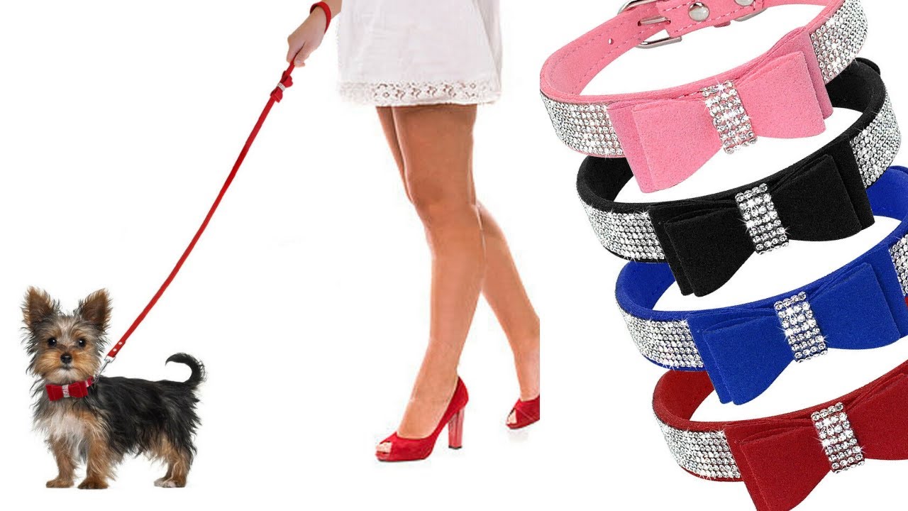 Small Medium Dogs Collar 🐾 Leash Bling Rhinestone Bowknot for Large Cats