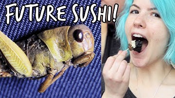 Would you eat a grasshopper? Future Sushi | We The Curious