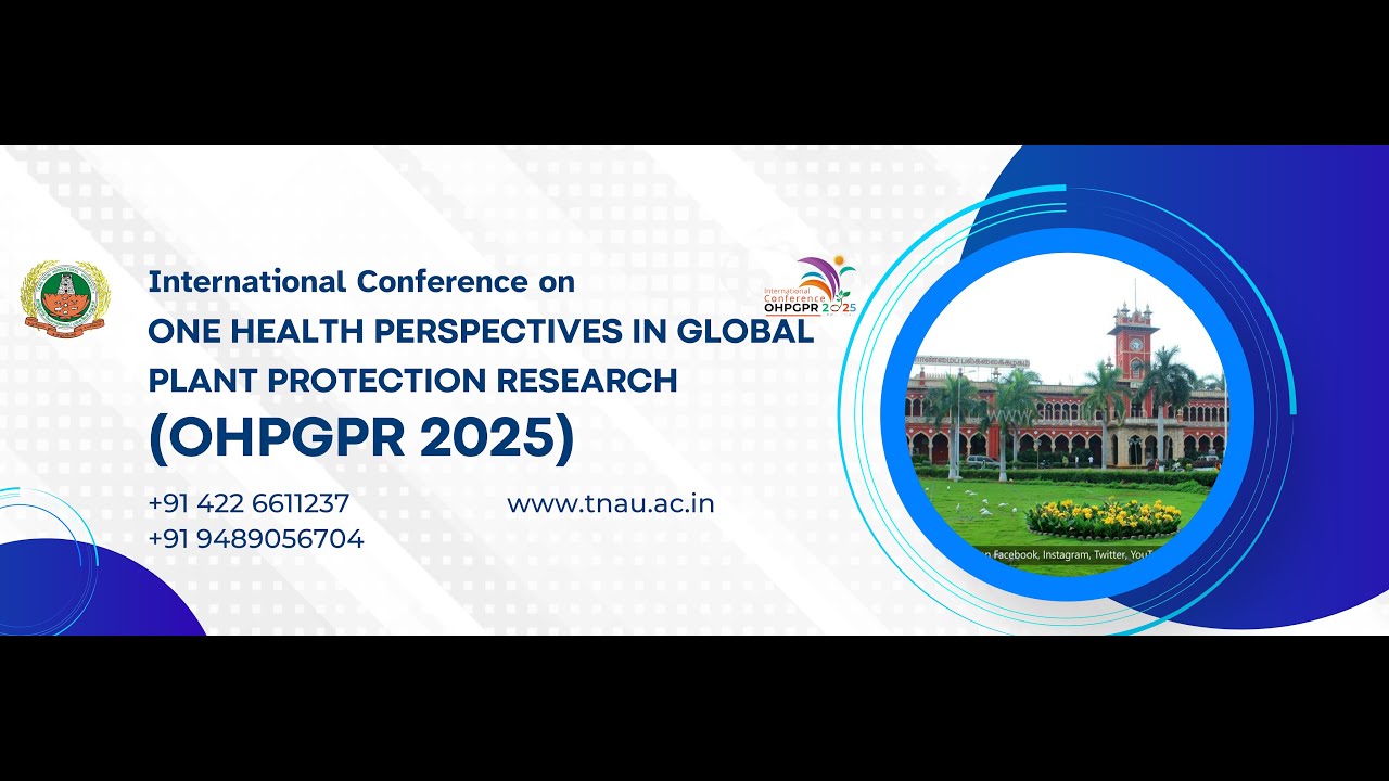 Are there rhythms in Aphid feeding?