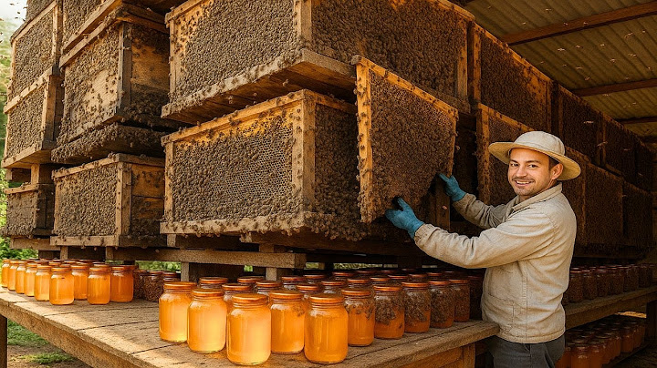 ¿CÓMO se PRODUCEN MILLONES de LITROS de MIEL en una FÁBRICA?