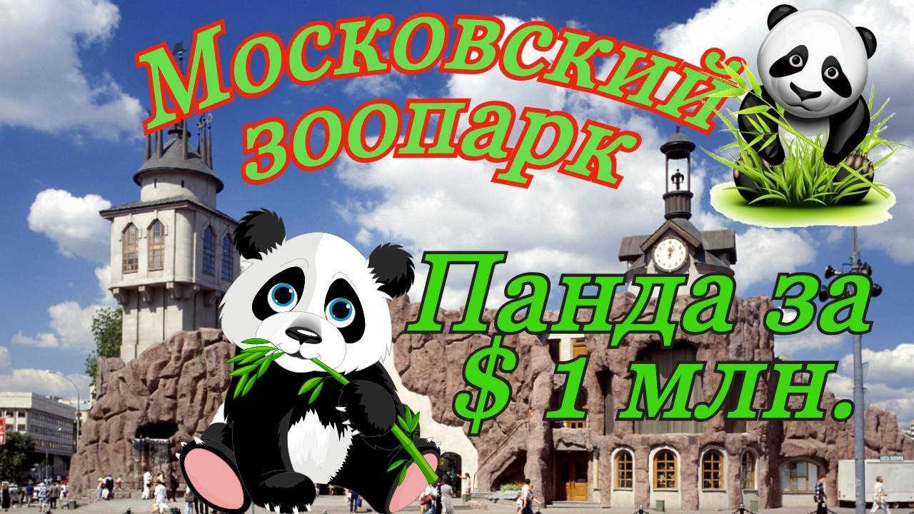 Московский зоопарк март 2024