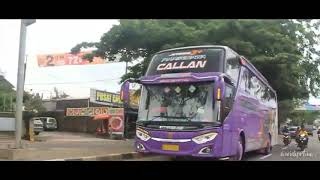 Cinematic Bus Agam Tungga Jaya (Callan) - FREE MENTAHAN