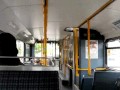 FirstSY Vo Olympian NC Palatine I N241 CMP 34241 On 69(2)