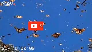 how to make an AE like tile spin on video star