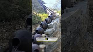De basura a belleza: la granja que convirtió tejas viejas en una atracción turística. #sabiasque