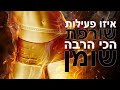 טיפ בדקה איזו פעילות הכי טובה לשריפת שומנים איך שורפים שומן טיפ בדקה איזו פעילות הכי טובה לשריפת שומנים איך שורפים שומן