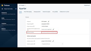 WEB API ANAHTARI GÖZÜKMÜYOR - Firebase web api key not showing