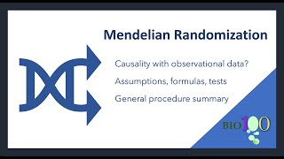 2-Sample Mendelian Randomization: Theory, Equations, and Practical Insights