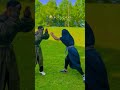 خدا بچه ره بیاره