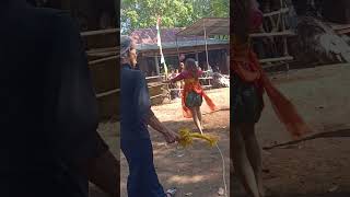 onel dan Irma kiprah mau sembuh #shortvideo #shortsviral #jankauanluas #ndadi
