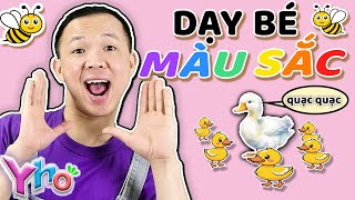 Dạy Bé Màu Sắc | Vịt Con, Ong & Bướm Vàng Hát Vui Cùng Yho!