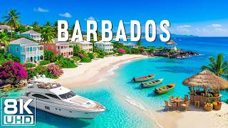 Barbados Like You've Never Seen Before 🇧🇧 | 8K UHD Nature Relaxation | Peaceful Piano Music screenshot 4