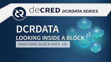 DCRDATA Looking into a block - Decred Fundamentals v2