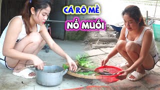 Cùng Cả Nhà Bích Hương Ăn Cá Rô Nổ Muối Trong Buổi Chiều Quê Gió Đồng Mát Rượi