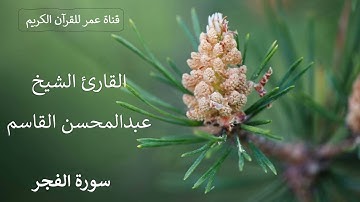 089 ـ سورة الفجر ـ القارئ الشيخ عبدالمحسن القاسم
