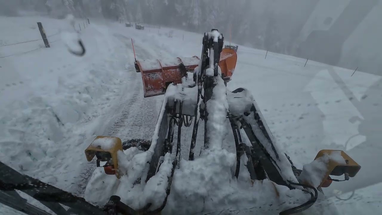 Snowmageddon 2025 Part 2