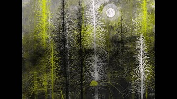 Radiohead - Codex 800% Slower