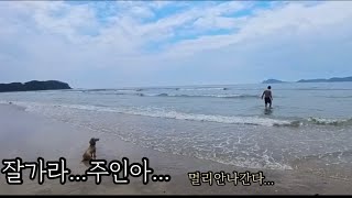 눈치게임 성공한 여름휴가|태안|마검포|캠핑브이로그 screenshot 4