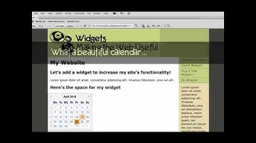 web widget