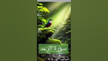 سورة الرعد #دعاء #دويتو #لايك #دعاءمستجاب #duet #اسلام # قران# quran