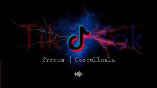 Prrrum | Cosculluela (Tiktok Dance Craze)