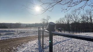 First snow and a subscriber thank you! by Ozarks Homestead and Farm 78 views 1 year ago 4 minutes, 20 seconds