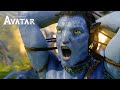 Destruction of home tree  avatar 4k movie clip